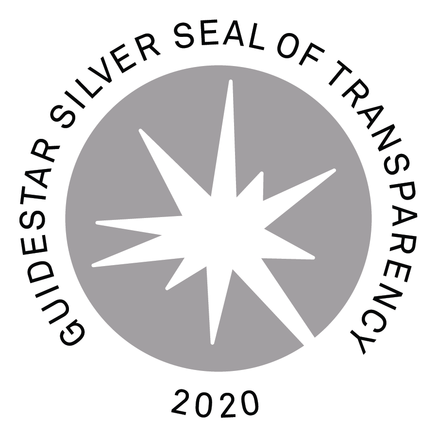 Guidestar 2020 Silver